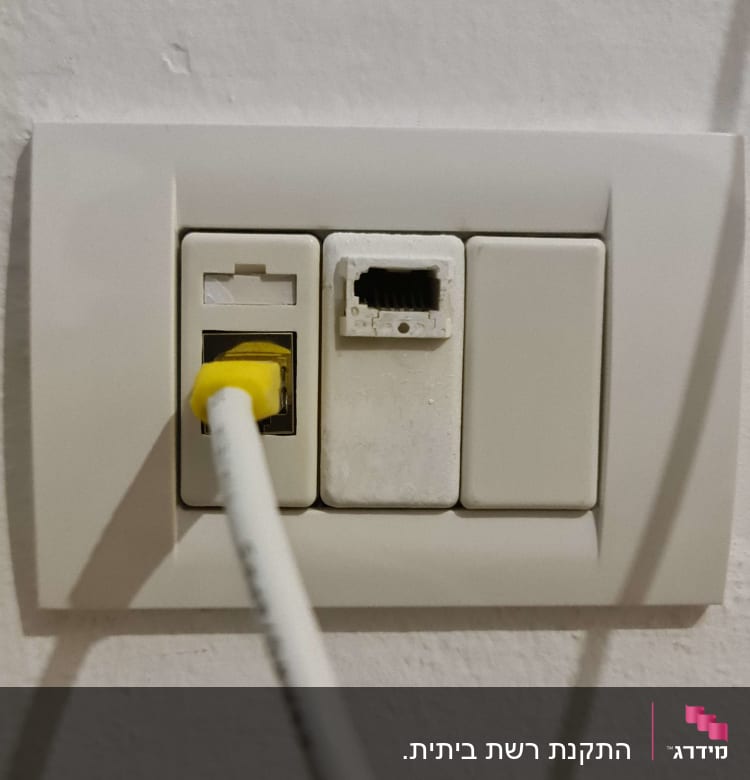 שקע רשת עם כבל מחובר לשקע צהוב